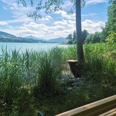 Ferienhaus Gartentraum Mit Eigenem Badeplatz Am Irrsee Tiefgraben